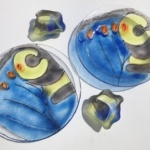 Glaskunst Annenwalde - Schalen